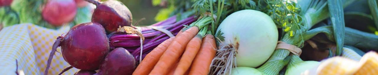 Close up image of onions, carrots, beets on a yellow checkered towel with blurry radishes in the background.